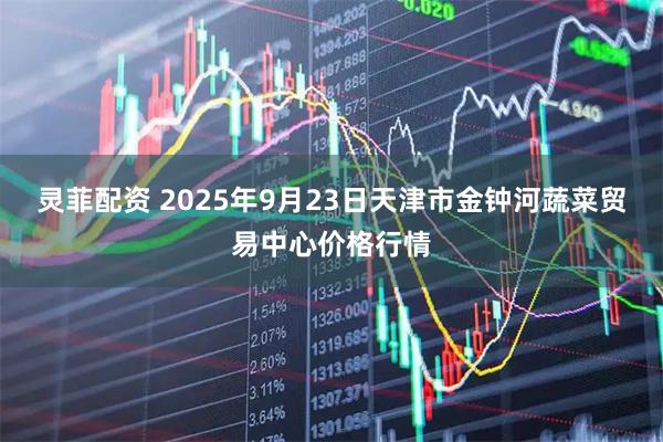 灵菲配资 2025年9月23日天津市金钟河蔬菜贸易中心价格行情