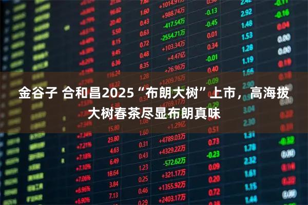 金谷子 合和昌2025“布朗大树”上市，高海拔大树春茶尽显布朗真味