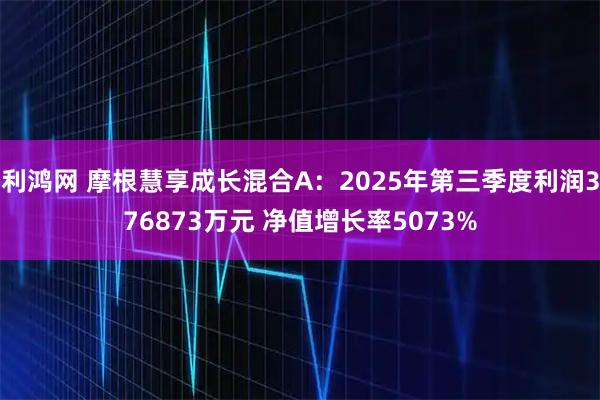 利鸿网 摩根慧享成长混合A：2025年第三季度利润376873万元 净值增长率5073%